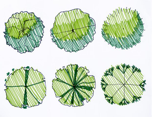 tree Illustration for Design plan Of architecture and landscape. tree top view watercolor presentation plan set isolated on white background.