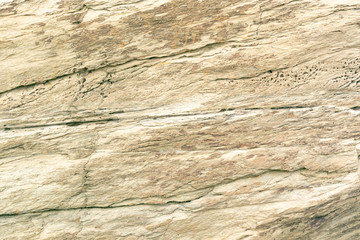 Fototapeta na wymiar Texture. The surface of the natural stone is light brown in color.