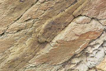 Texture. The surface of the natural stone is light brown in color.