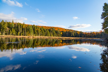 Fall Colours and Reflecction