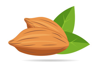 Almond nut with green leaves isolated on white background. Flat design style. Vector illustration.