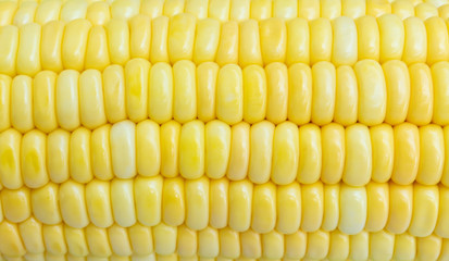 Corn texture background, Corn cob vegetable pattern.