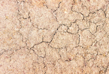 Dried soil from a top view