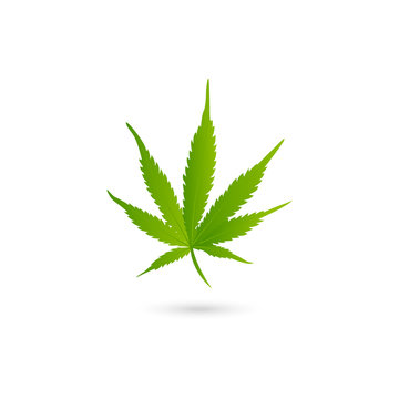 marijuana leaf design