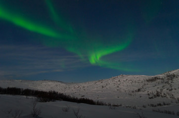 Aurora Borealis,Northern lights over the tundra in winter.