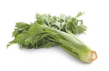 Fresh celery stalks on a white background