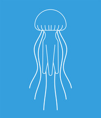 Jellyfish isolated. Marine animal. wildlife Vector illustration
