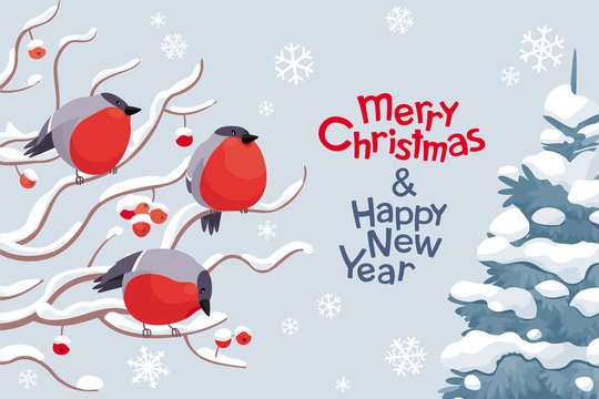 Vector bullfinches and rowan Christmas and New Year image