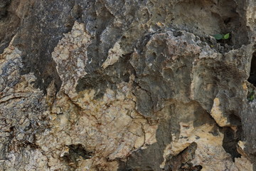 The surface of natural stone background.