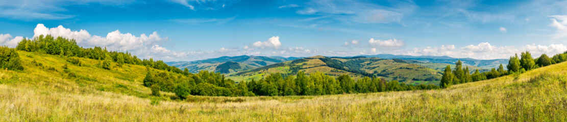 autumnal panorama of mountainous countryside. grassy meadow on a slope. rural fields on the  hill in the distance - obrazy, fototapety, plakaty