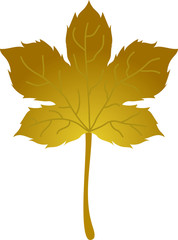 Realistic Elegant Autumn leaves