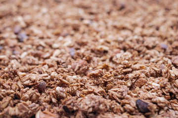 Healthy Snack, Meal. Freshly Toasted Organic Homemade Granola Cereal, Muesli Mixed With Honey, Nuts.