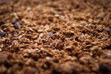 Healthy Snack, Meal. Freshly Toasted Organic Homemade Granola Cereal, Muesli Mixed With Honey, Nuts.