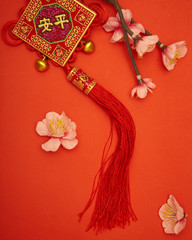 Chinese new year's decoration