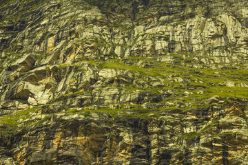 rocks wall with green moss