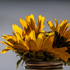 Sunflowers in a mason jar