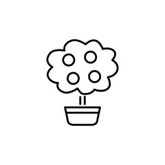 Black & white vector illustration of citrus tree with leaves & oranges in pot. Decorative home plant in container. Line icon of indoor mini tree. Isolated on white background.
