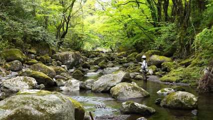日本の渓流釣り,　九州阿蘇山の伏流水が流れる出る渓流の釣り、...