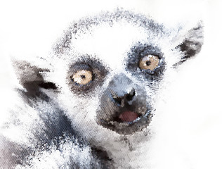 Stylized portrait of lemur monkey in halftone vector © Greg Brave