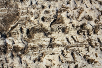 Ancient marble tectured background