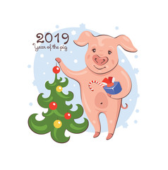 Fototapeta premium 2019 Year of The Pig Greeting Card