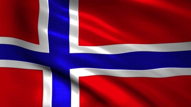 flag front of norway