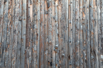 Wooden boards texture. Natural pine wood and detail.