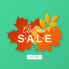 Autumn sale banner. Vector. Flyer template with fall leaves. Poster, card, label, web design. Bright background. Illustration with colorful leaf.