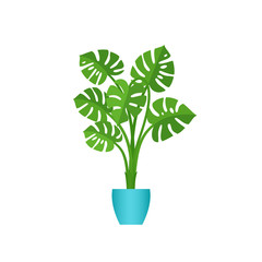 Monstera potted plant. Vector. Indoor flower in pot in flat design isolated on white background. Animated houseplant. Cartoon colorful illustration.