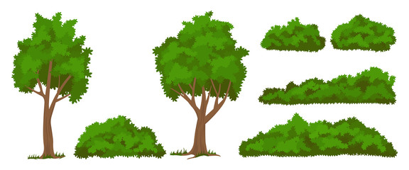 Vector trees and bushes set