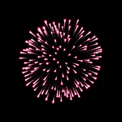 Firework pink bursting isolated black background. Beautiful night fire, explosion decoration, holiday, Christmas, New Year. Symbol festival, American 4th july celebration. Vector illustration