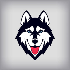 Siberian husky head logo or icon. Good-natured dog shows its tongue. Stock vector illustration. Business sign template. © epifantsev
