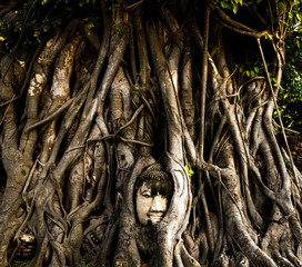 statue of buddha 