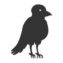 Crow silhouette. Vector.