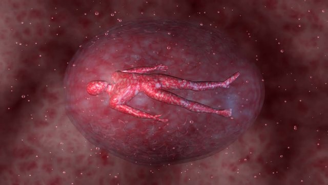 Genetically engineered human clone suspended in red fluid membrane. 3d animation.