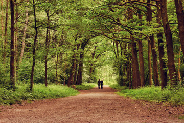 Unpaved road through the woods with two people walking