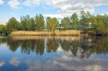 Fototapeta premium Reflection of trees by the lake
