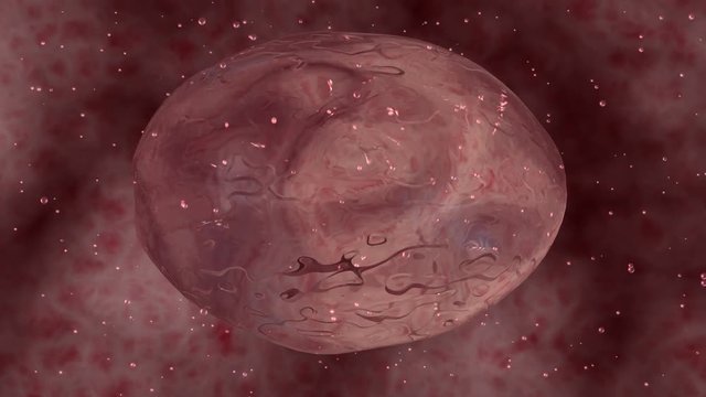 Glowing cell, microbe inside body . 3d animation