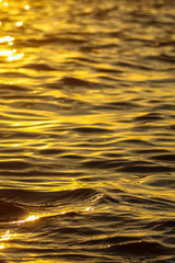 Smooth water in the sea in the rays of sunset