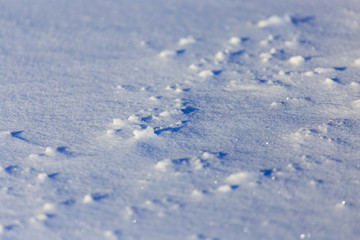 Cold snow on nature in winter as background