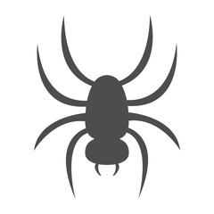 Spider silhouette. Vector.