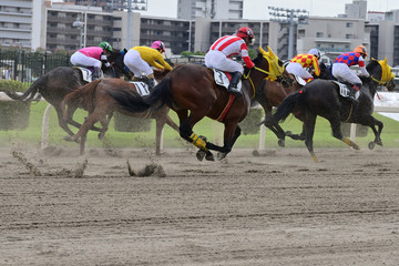 horse race in Japan