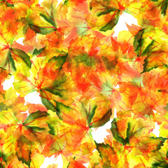 Naklejka na ściany i meble A seamless pattern of watercolour autumn grapevine leaves