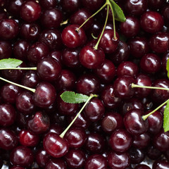 Cherry Background. Red background of garden cherries