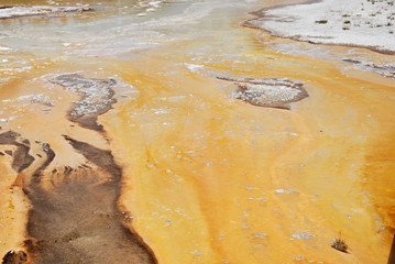 Yellowstone Nationalpark, Wyoming