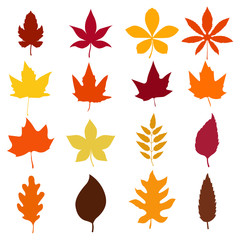 set of autumn leaves icons isolated on white background. Design element for emblem, poster, card, banner, flyer, brochure.