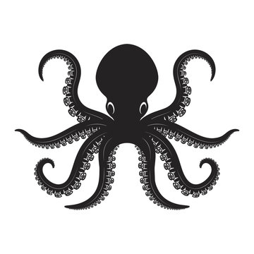Octopus illustration isolated on white background. Design element for logo, label, emblem, sign.