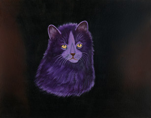 Lila Haare Photos Royalty Free Images Graphics Vectors Videos Adobe Stock