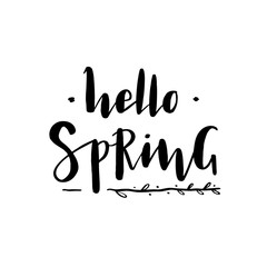 Hello Spring. Hand written lettering typography. Modern ink calligraphy. Hand drawn ethnic vector illustration with spring branch as poster, postcard, card, invitation template, logo, badge. 