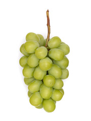 ブドウ　シャインマスカット